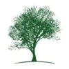The Park Events