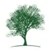The Park Events
